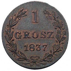 1 grosz 1837, Warszawa, Plage 246 - św. Jerzy bez płasz...