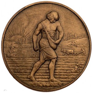 Centralne Towarzystwo Rolnicze w Warszawie- medal nagro...