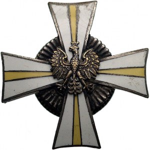 pamiątkowa odznaka 24 Pułku Ułanów, noszona przez ofice...