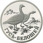 zestaw monet 1 rubel 1998, Mors, Jaszczurka Dalekowscho...