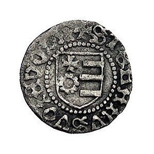 wojewoda Stefan III 1457-1504, grosz, Aw: Głowa wołu z ...