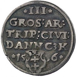trojak 1536, Gdańsk, odmiana z napisami PRVSSI / DANNC3...