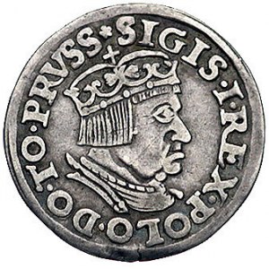 trojak 1537, Gdańsk, popiersie króla w koronie i napis ...