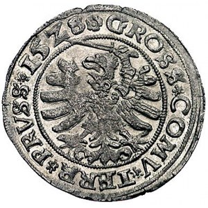 grosz 1528, Toruń, Kurp. 260 R, Gum. 525, rzadki