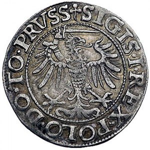 grosz 1539, Elbląg, odmiana- rozeta rozdziela napis na ...
