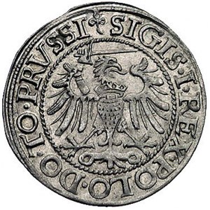grosz 1540, Elbląg, Kurp. 611 R, Gum. 583
