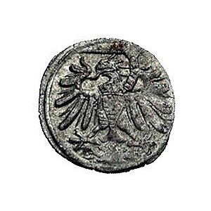 denar 1546, Gdańsk, Kurp. 391 R4, Gum. 544, T. 8, ładni...