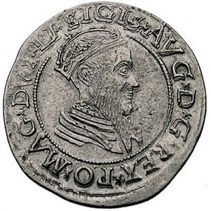 czworak 1568, Wilno, odmiana napisów LI / LITVA, Kurp. ...