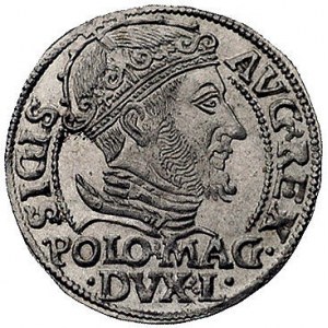 grosz na stopę polską 1548, Wilno, Kurp. 764 R, Gum. 61...