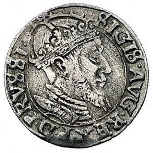 grosz 1556, Gdańsk, odmiana z dużą głową króla, Kurp. 9...