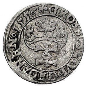 grosz 1556, Gdańsk, odmiana z dużą głową króla, Kurp. 9...