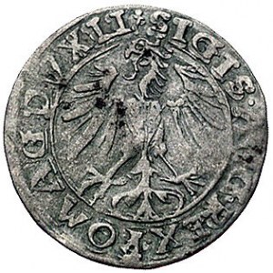 półgrosz 1557, Wilno, odmiana z trójlistkami po obu str...