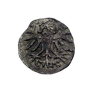 denar 1556, Elbląg, Kurp. 990 R3, Gum. 654, T. 7