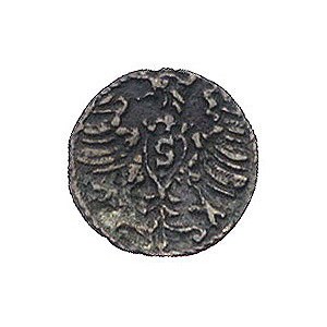 denar 1571, Królewiec, typ starszy z różą o 6 płatkach,...