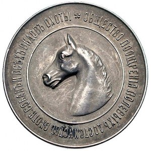 medal pamiątkowy Towarzystwa Propagowania Wszystkich Ro...