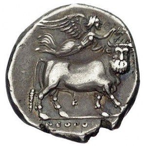 Kampania-Neapol, stater 340-241 pne, Aw: Głowa nimfy w ...
