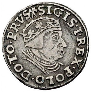 trojak 1539, Gdańsk, korona królewska bez krzyżyka, Kur...