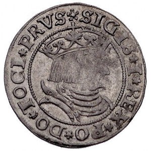 grosz 1531, Toruń, Kurp. 299 (R), Gum. 527