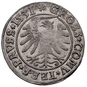 grosz 1531, Toruń, Kurp. 299 (R), Gum. 527