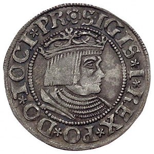 grosz 1532, Gdańsk, Kurp. 447 (R), Gum. 559, ciemna pat...