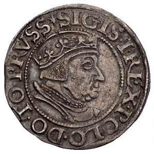 grosz 1537, Gdańsk, korona królewska bez krzyżyka i nap...