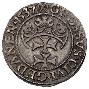 grosz 1537, Gdańsk, korona królewska bez krzyżyka i nap...