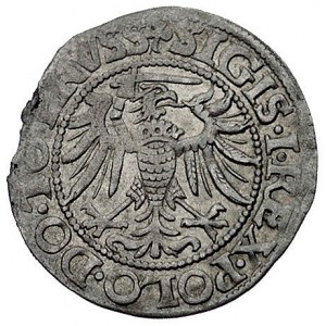 grosz 1539, Elbląg, Kurp. 606 (R1), Gum. 583, lekko wyk...