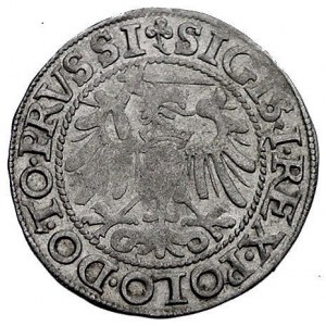 grosz 1540, Elbląg, Kurp. 611 (R), Gum. 583