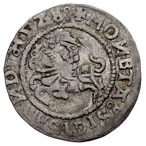 półgrosz 1528, Wilno, odwrócone litery N, Kurp. 169 (R6...