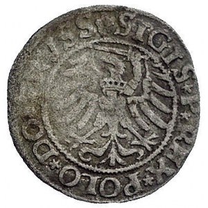 szeląg 1532, Elbląg, Kurp. 569 (R), Gum. 580