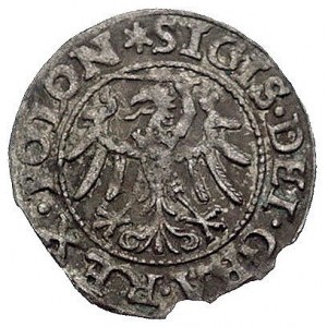 szeląg 1546, Gdańsk, Kurp. 435 (R), Gum. 555, lekko wys...