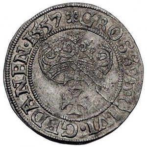 grosz 1557, Gdańsk, późniejszy typ z dużą głową króla, ...