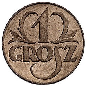 1 grosz 1923, Warszawa, Parchimowicz 101 a