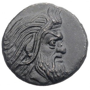 TRACJA- Pantikapea, 400-300 pne, AE-20, Aw: Głowa broda...