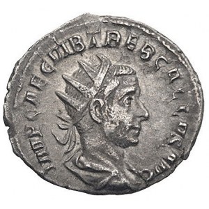 Trebonianus Gallus 251-253, antoninian, Aw: Popiersie w...