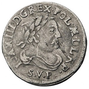szóstak 1684, Bydgoszcz, odmiana z literami SVP pod pop...