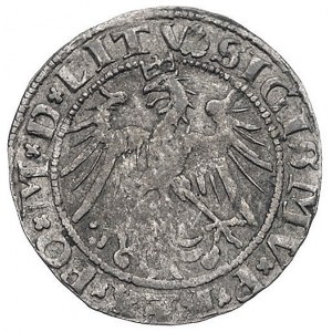 grosz 1536, Wilno, odmiana z literą A pod Pogonią, awer...