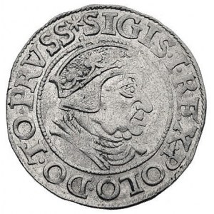 grosz 1538, Gdańsk, Kurp. 479 (R), Gum. 564