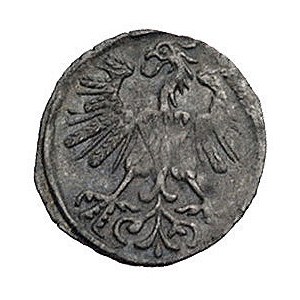 denar 1560, Wilno, Kurp. 648 (R3), Gum. 592, T. 12