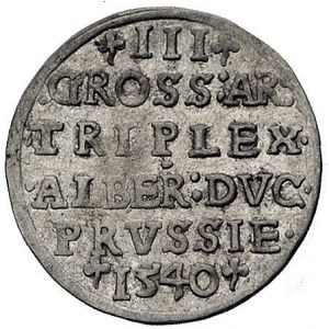 trojak 1540, Królewiec, na awersie trójlistna gałązka r...