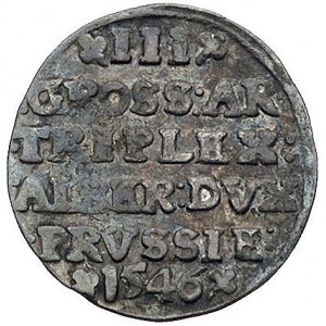 trojak 1546, Królewiec, Bahr. 1198, Neumann 44, patyna