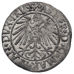 grosz 1545, Królewiec, Bahr. 1196, Neumann 47