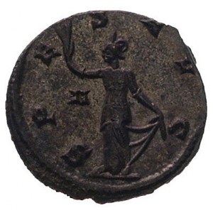 Klaudiusz II Gocki 268-270, antoninian, Aw: Popiersie w...