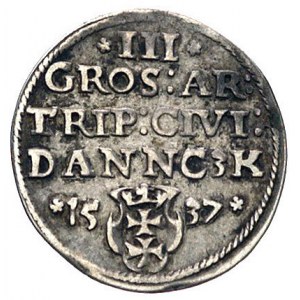 trojak 1537, Gdańsk, Kurp. 505 (R1), Gum. 570