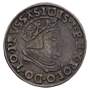 trojak 1538, Gdańsk, odmiana z napisem PRVSS, Kurp. 514...