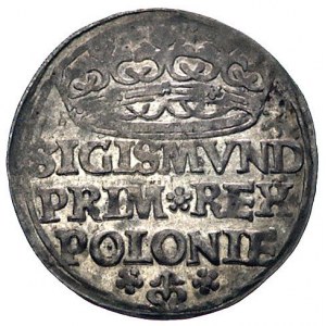 grosz 1527, Kraków, Kurp. 40 (R1), Gum. 482, patyna