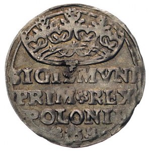 grosz 1529, Kraków, Kurp. 49 (R), Gum. 484, patyna