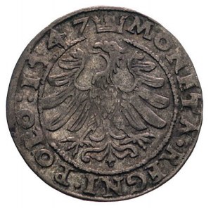 grosz 1547, Kraków, Kurp. 64 (R), Gum. 491, ciemna paty...