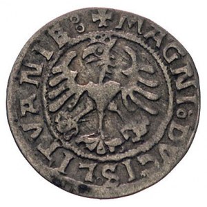 półgrosz 1521, Wilno, odmiana napisu SIGISMVND, Kurp. 1...
