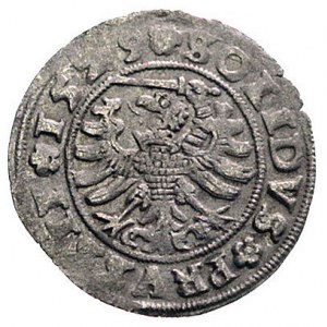szeląg 1529, Toruń, Kurp. 242 (R), Gum. 522